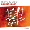 Coming Home (Extended Mix) - Single