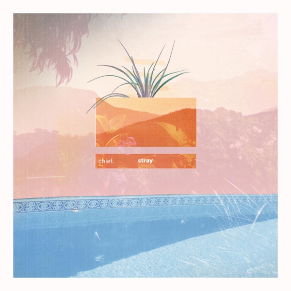 Stray - EP
