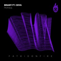 FKOFd035 - EP - Binary