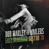 Easy Skanking in Boston '78 (Live) artwork
