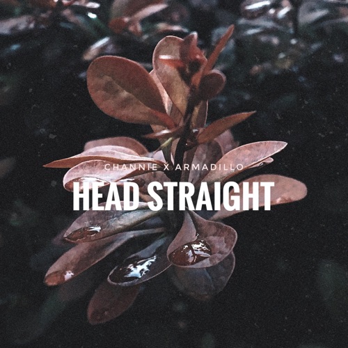 Head Straight (feat. Armadillo) - Single