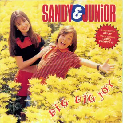 Dig Dig Joy - Sandy & Junior