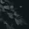 Day Catcher - Pianiso lyrics