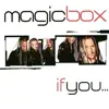 If You... (Radio Mix)