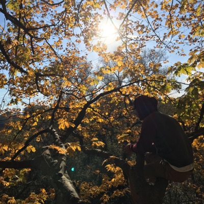 The Sky Is the Limit - Single