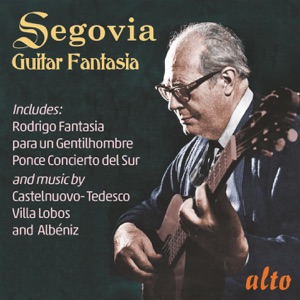 Guitar Fantasia