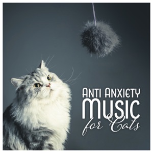Anti Anxiety Music for Cats - Soothe Cat Stress, Pet Therapy, Soothing Sleep, Calm Down