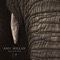 Bound - Amy Millan lyrics