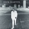 Gargoyles - Rick Martin lyrics