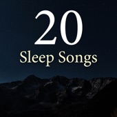 20 Sleep Songs: Zen Music, Nature Sounds, Relaxing and Calming Music for your Mind & Brain artwork