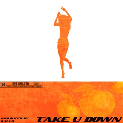 Take U Down - Single