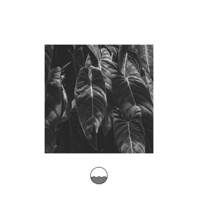 Montreal - Single