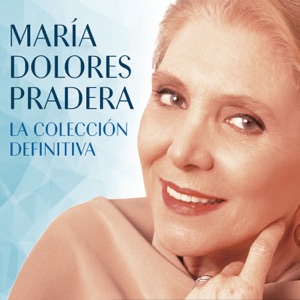Lágrimas Negras (with Diego El Cigala)