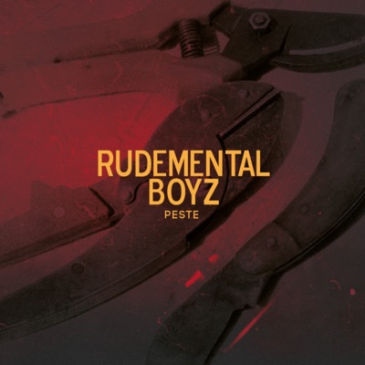 Rudemental Boyz