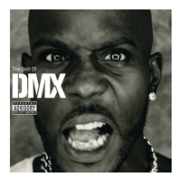 DMX - Party Up artwork