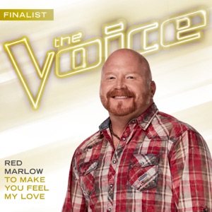 To Make You Feel My Love (The Voice Performance) - Single