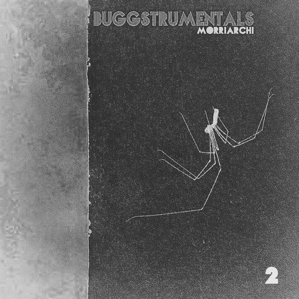 Buggstrumentals 2 (Instrumental) artwork