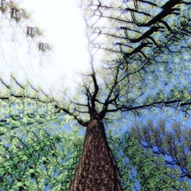 Oregonsleeplessnights Bailey