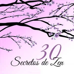30 Secretos de Zen - Música de Meditación Asiática, Experimentar el Viaje Desconocido de los Sonidos, Calma Perfecta