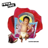 Peter Piek - C.O.T.D.S.