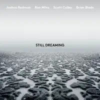 Unanimity (feat. Ron Miles, Scott Colley & Brian Blade) — Joshua Redman