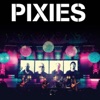 Pixies - Here Comes Your Man (Live)