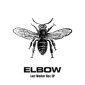 Lost Worker Bee - EP artwork