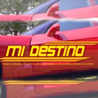 Mi Destino (feat. Ciclon el Chamaquito, Young Mugí & Dikey El Forty) - Single - Gabo la Quimica