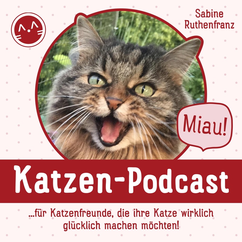 Miau Katzen-Podcast - für Katzenfreunde, die ihre Katze wirklich glücklich machen möchten