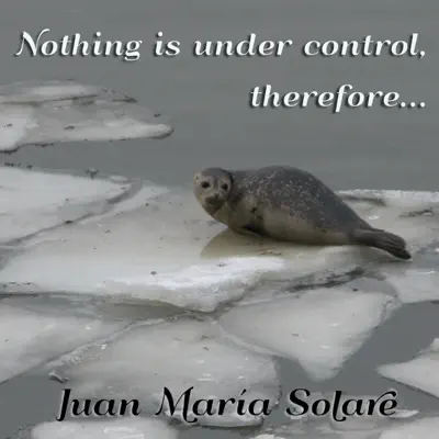 Nothing Is Under Control, Therefore... - Single - Juan María Solare