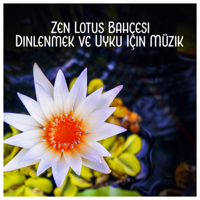 Various Artists - Zen Lotus Bahçesi: Dinlenmek ve Uyku Için Müzik artwork