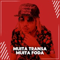 Muita Transa, Muita Foda - Single - Mc Magrinho & DJ Ferrugem