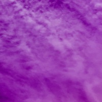 And I'm Still Here - Single - Recipe.