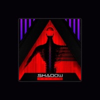 Shadow Domain