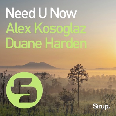 Need U Now - Single