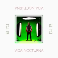 Vida Nocturna - Single - DJ 13