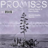 Promises (David Guetta Extended Remix) artwork