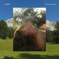 Tot Ce Ti-Ai Dorit - Single - Corina