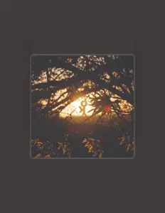 聆聽 Y-Key Operators、觀看音樂影片、閱讀小傳、查看巡演日期等！