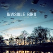 Invisible Bird - Keep Digging