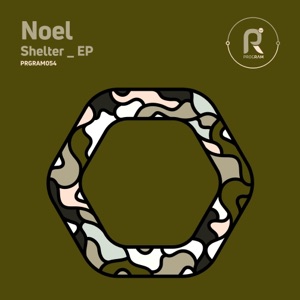 Shelter - Single