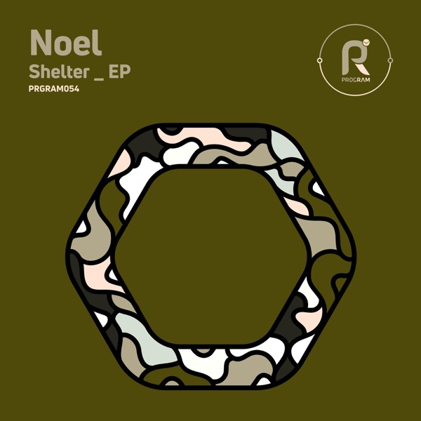 Shelter - Single