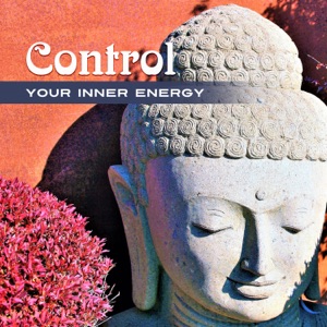Control Your Inner Energy: Manage Yourself, Sahaja Meditation, Feminine Empoverment, Transform Internal, Overcome Anxiety