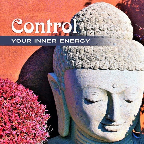 Control Your Inner Energy: Manage Yourself, Sahaja Meditation, Feminine Empoverment, Transform Internal, Overcome Anxiety