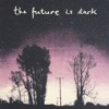 The Future is Dark - Single