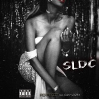 Sie Liebt Die Crew (feat. DannyX28X) - Single - PERFECCT