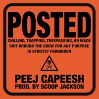 Posted - Single - Peej Capeesh
