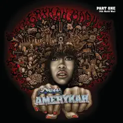 New Amerykah, Pt. 1 (4th World War) - Erykah Badu