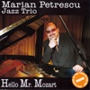 Marian Petrescu Jazz Trio