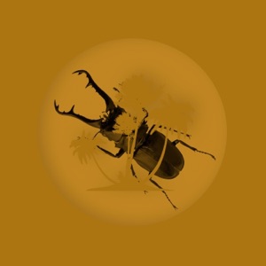 Judy - Single